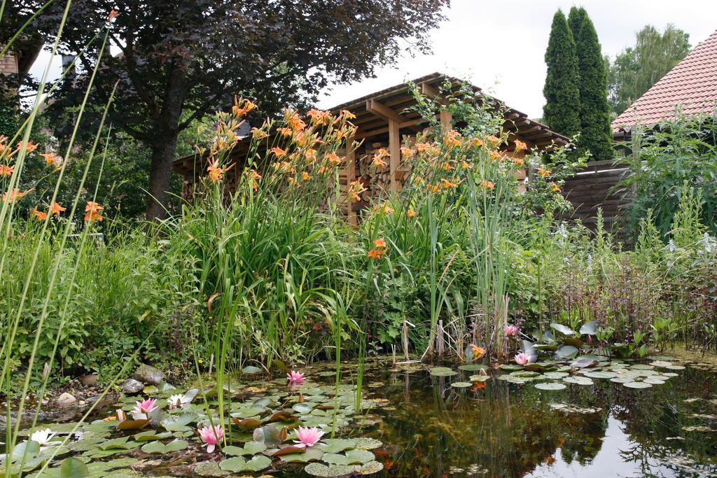 Gemuetliche Gaestezimmer In Einem Neu Sanierten Fachwerkhaus Sachsenheim Exteriér fotografie