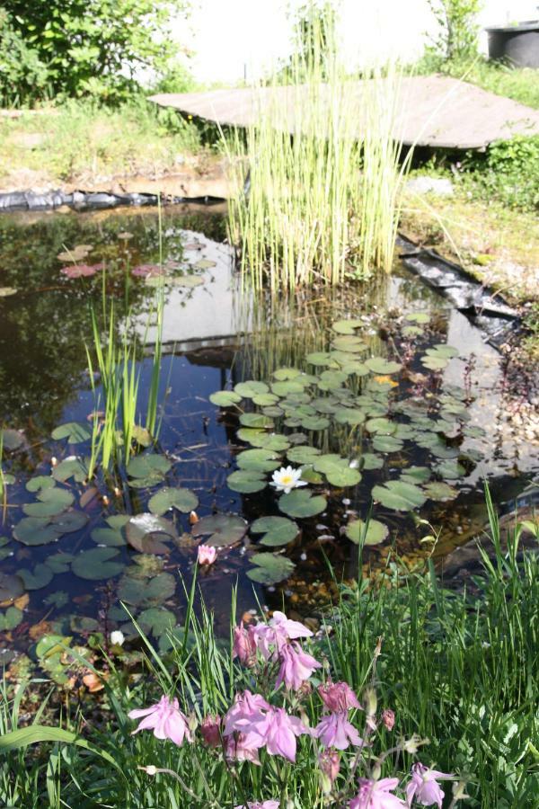 Gemuetliche Gaestezimmer In Einem Neu Sanierten Fachwerkhaus Sachsenheim Exteriér fotografie